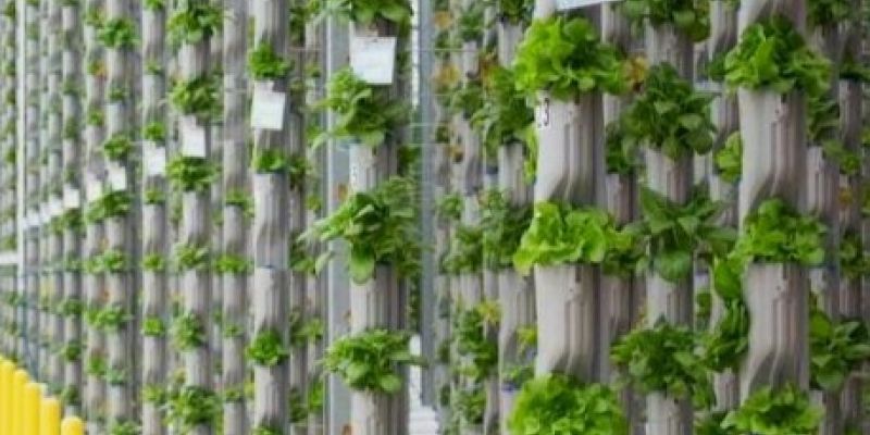 BIGH Vertical Farm